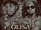 Danifresh - Olisa