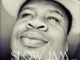 DJ MANZO SA - SLOWJAM ON 45