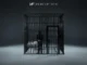 NF - Lie