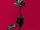 Blackbear - dirty laundry