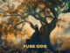 Fuse ODG - We Story