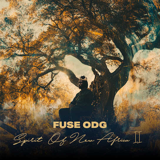 Fuse ODG - Ewolo