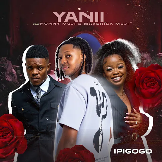 YANII - Ipigogo