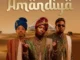 Blacks Jnr - Amandiya