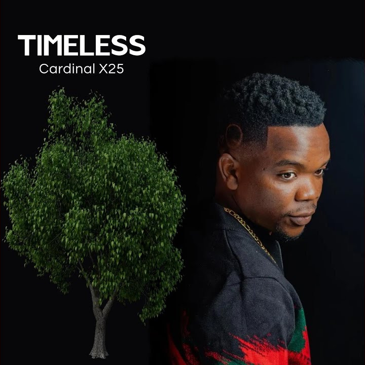 Cardinal X25 – Wakasiya Ronda