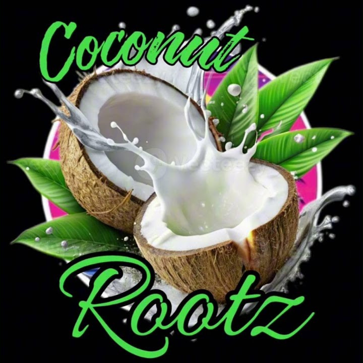 Coconut Rootz – My Everything